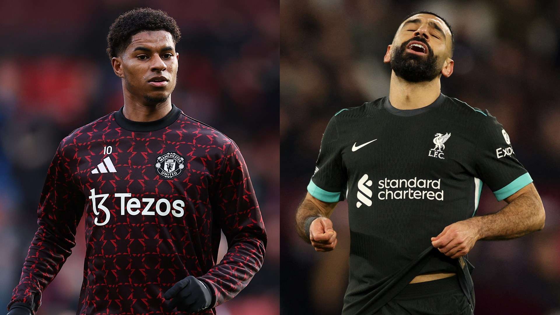 充满活力的 充满活力的